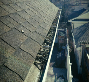 Hey look! Some of the gutter is full and some of it is cleaned! Darren made that happen!