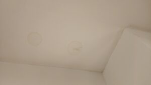 A picture of a drywall ceiling with two round brown discoloration indicating water infiltration in the attic space.