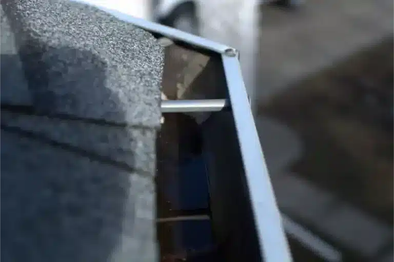 Gutter Cleaning - DSC 0038