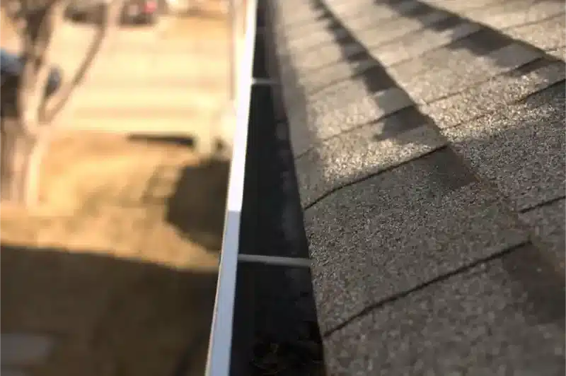 Gutter Cleaning - DSC 0044