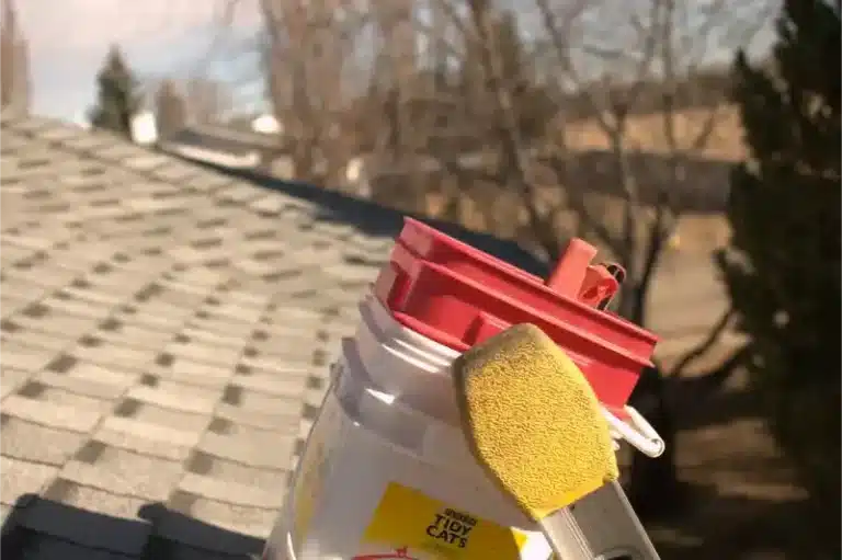 Gutter Cleaning - DSC 0045