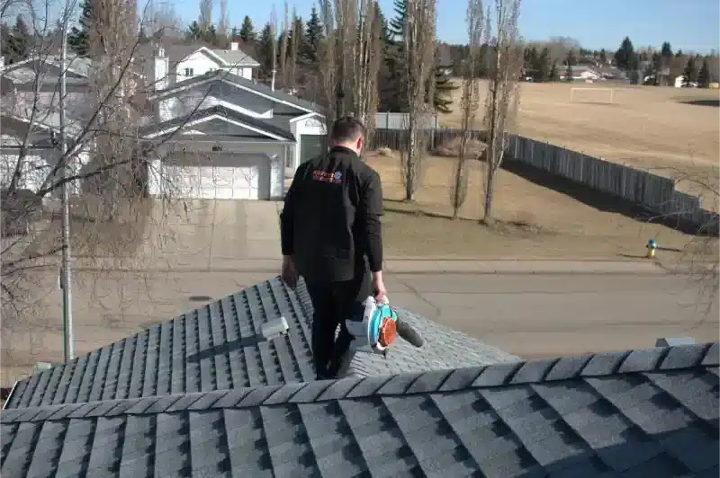 Gutter Cleaning - DSC 0047
