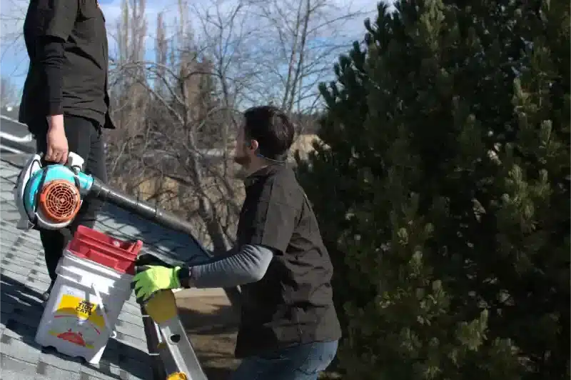 Gutter Cleaning - DSC 0049