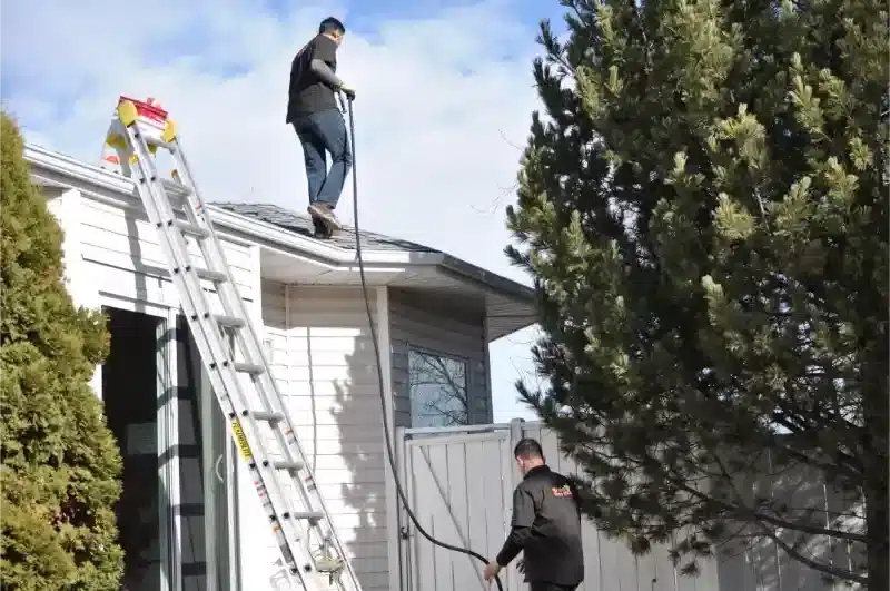 Gutter Cleaning - DSC 0059