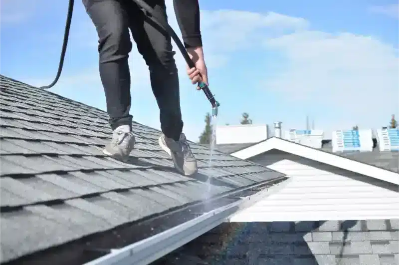 Gutter Cleaning - DSC 0067