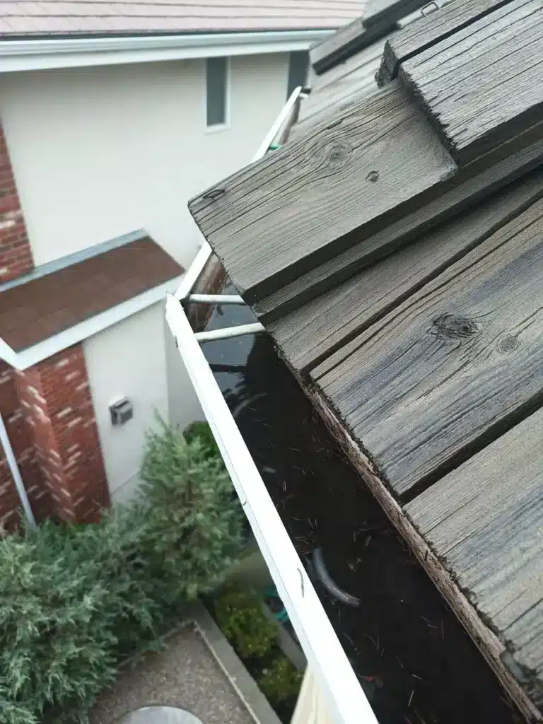 Clogged roof gutter filled with debris and water