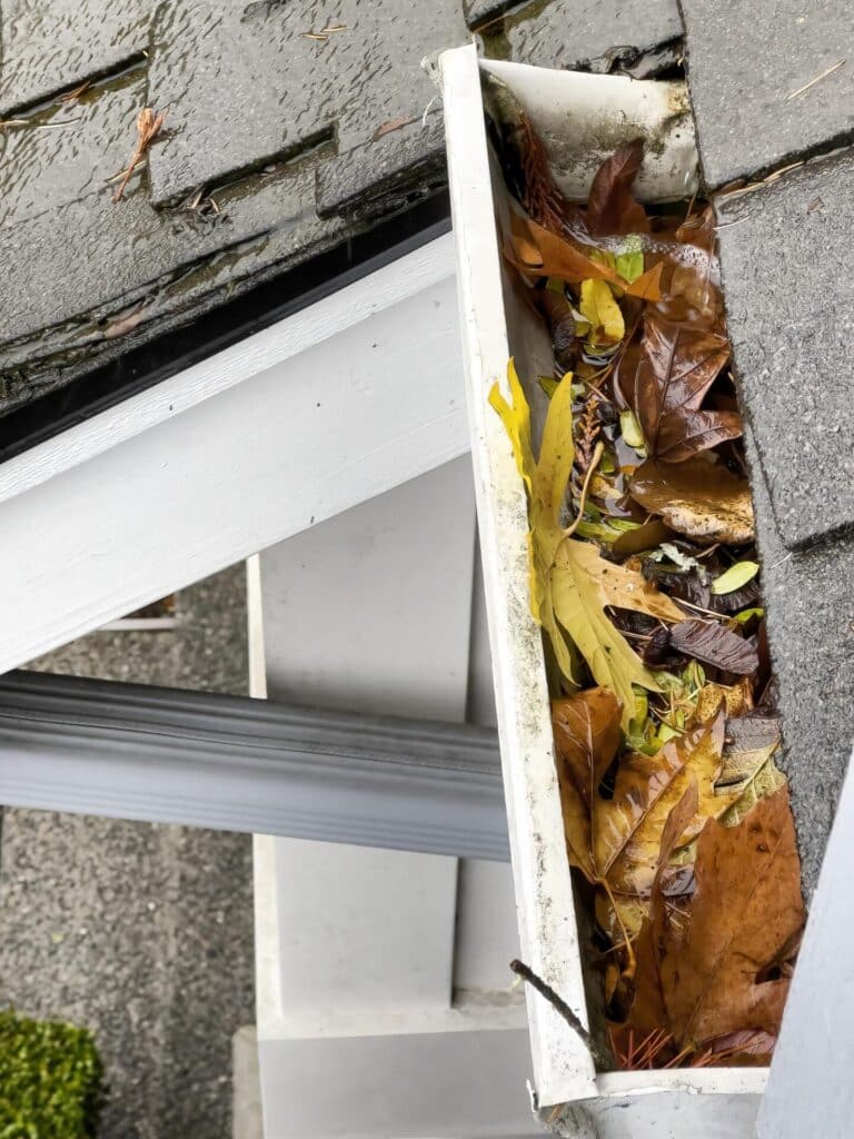 gutter cleaning edmonton